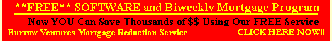 bvmrs.gif